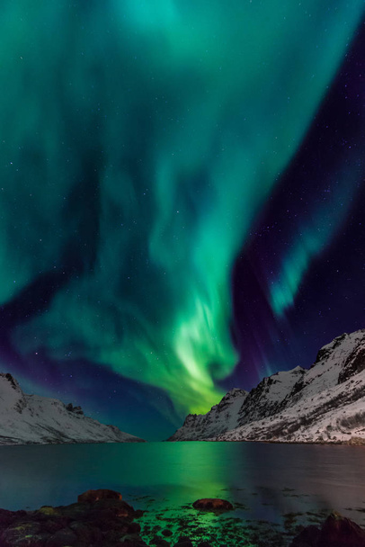 Northern lights in scandinavia - Фото, зображення