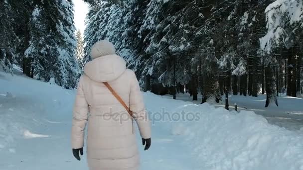 遅い雪で冬の松林でバックの女性から撮影 - 映像、動画