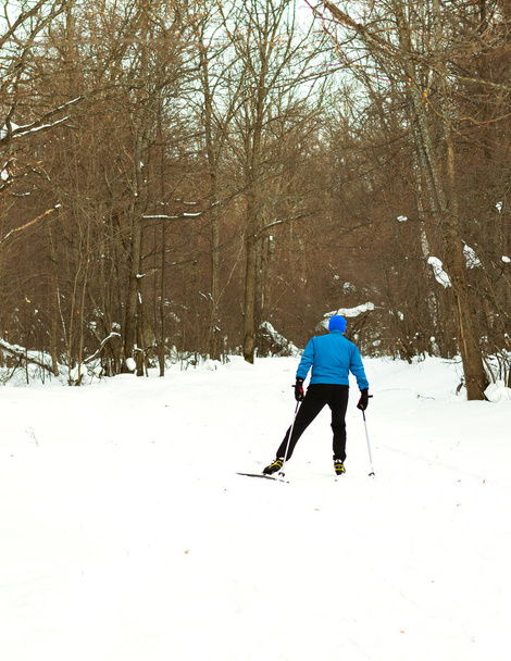 Ski le matin dans la belle forêt d'hiver
. - Photo, image