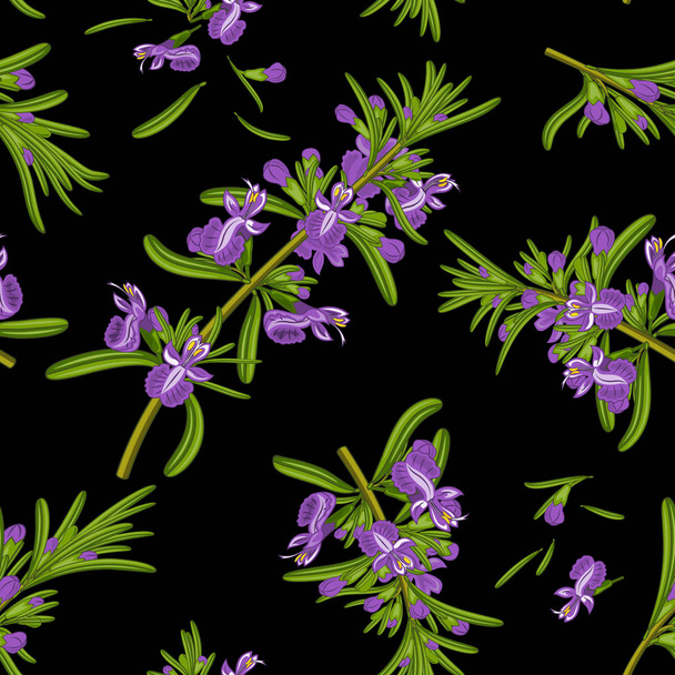 ローズマリーの花のシームレス テクスチャ - ベクター画像