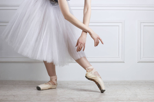 Closeup ballet dancer's legs in pointes and hands - Photo, image
