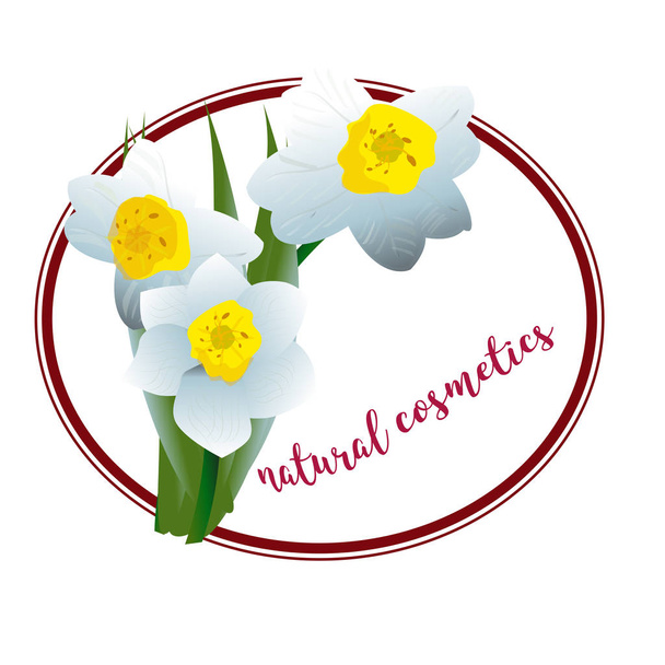 tavaszi virág nárcisz kozmetikumok logo - Vektor, kép