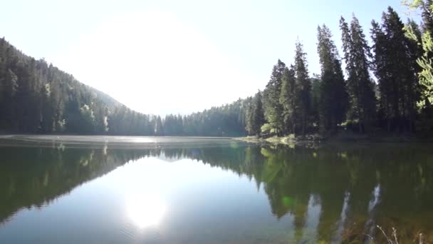 Крупное озеро в лесу
 - Кадры, видео