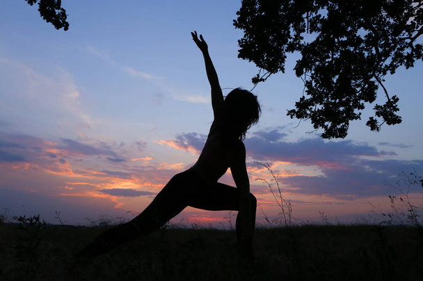 Chica delgada mostrando varias poses y bailando en el campo al aire libre en
 - Foto, Imagen