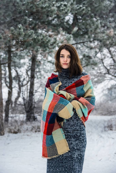 winter great portrait of charming girl - Foto, Imagem