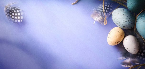 Πάσχα φόντο με Πασχαλινά αυγά και φτερό πουλί. Κορυφή δείτε wi - Φωτογραφία, εικόνα