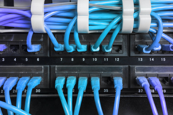 Server rack with blue internet patch cord cables - Photo, Image