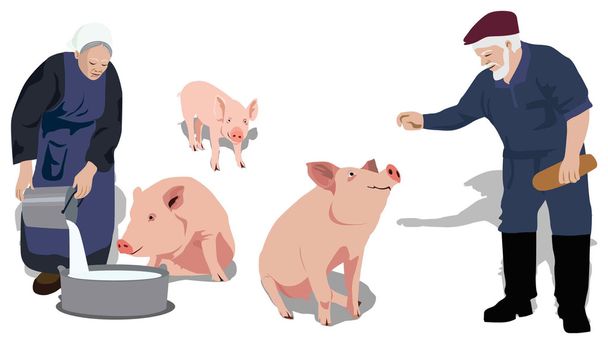 Pigs_people_farm - Vector, afbeelding