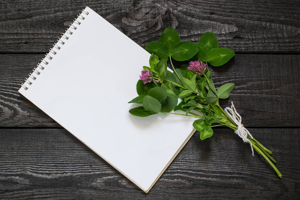 Medicinale plant rode klaver (Trifolium pratense) en notebook  - Foto, afbeelding