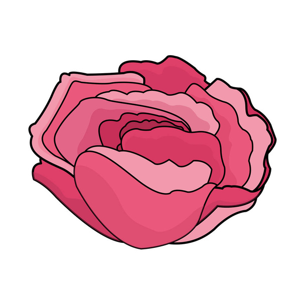 flower icon image - Vector, imagen