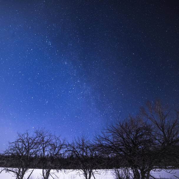 Venkovské zimní krajina v noci se stromy a hvězdy - Fotografie, Obrázek
