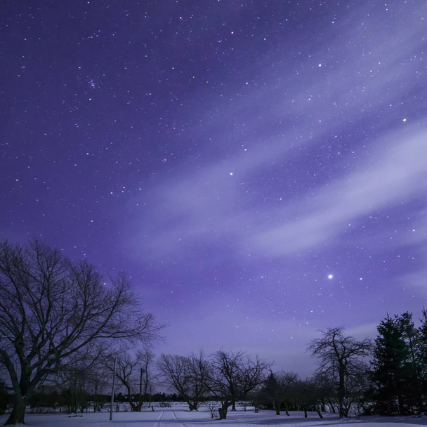 Maanlicht sterren, bomen en track met wolken - Foto, afbeelding