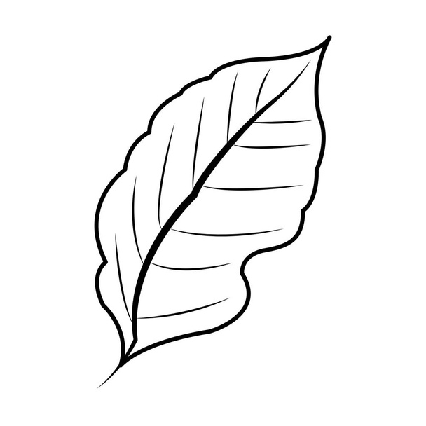 leaf plant icon image - Vektor, Bild