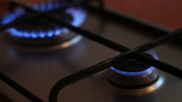 Llamas azules ardientes de una estufa de gas
 - Imágenes, Vídeo