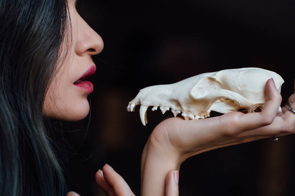 Portrait of a young girl holding a mysterious skull in the hands of a fox. Painted long hair. - Foto, imagen