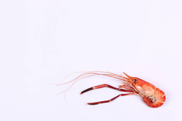 Streamed large fresh prawns isolated on white background  - Foto, afbeelding