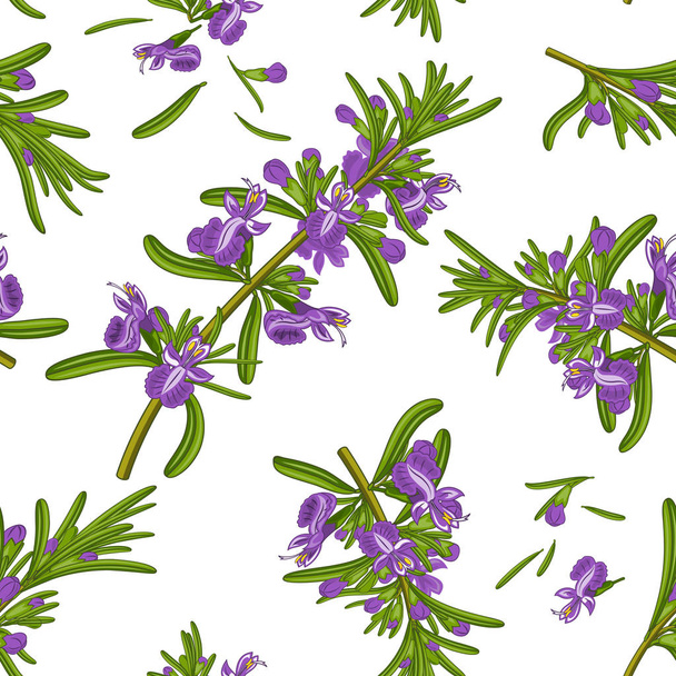 Rosemary flowers seamless texture - Wektor, obraz