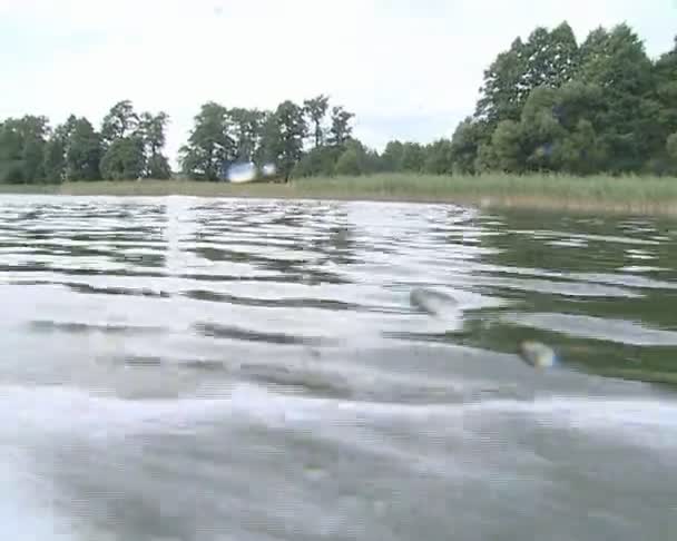 Jezioro przelewanie wody na obiektyw aparatu nakręcony na pokładzie motorówki - Materiał filmowy, wideo