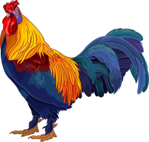 Colorful rooster illustration  - Vektor, obrázek