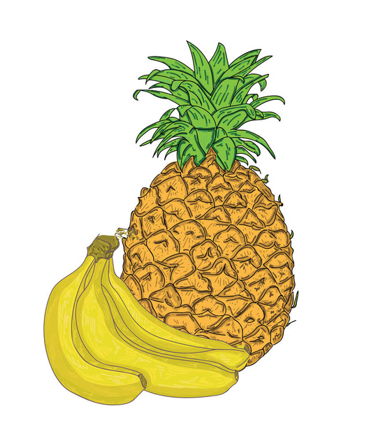 images vectorielles de bananes et bananes
 - Vecteur, image