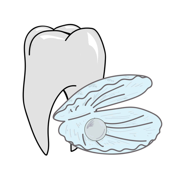 schelp met een parel op een achtergrond van een gezonde tand. vectorillustratie - Vector, afbeelding