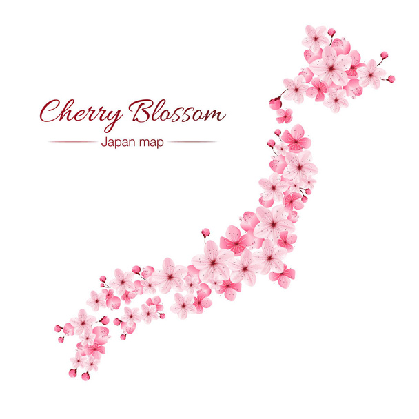 cherry blossom realistic vector, sakura,japan map - Vector, Image