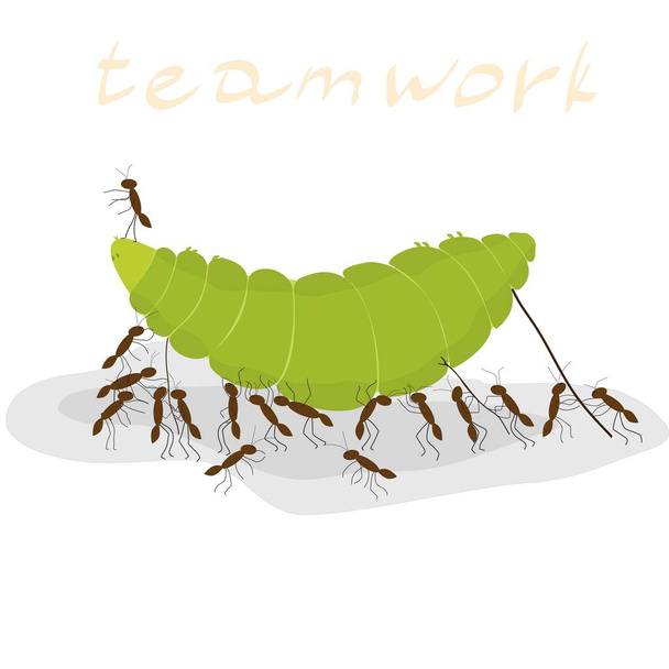 nombreuses fourmis traînant une chenille verte
 - Vecteur, image