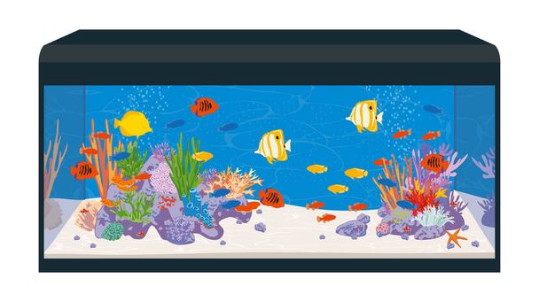 Zoutwater rif aquarium - Vector, afbeelding