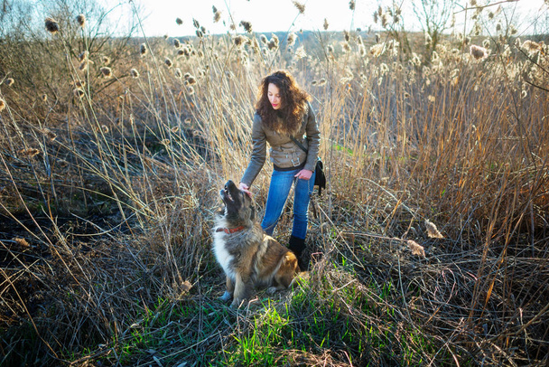 Chica jugando con el perro pastor caucásico, otoño
 - Foto, imagen