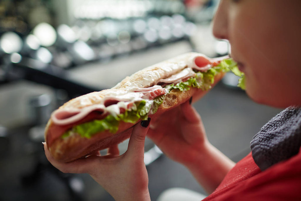 gran sándwich de engorde en las manos
 - Foto, Imagen