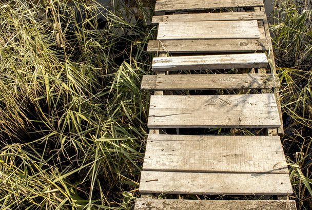 Річковий берег і дерев'яні сходи
 - Фото, зображення