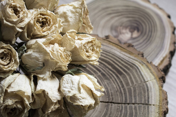 Το κομμένο ξύλο με αποξηραμένα τριαντάφυλλα - Φωτογραφία, εικόνα