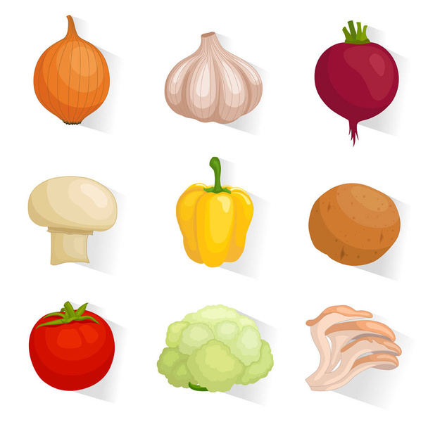 Vector vegetable icons for web design - Vektor, Bild