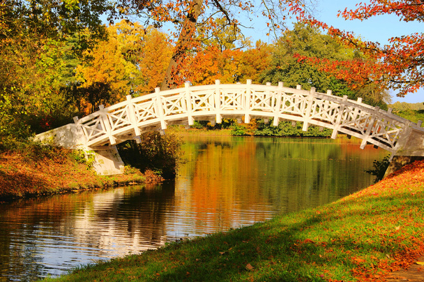 woerlitzer Parque weisse bruecke - jardín inglés del puente de woerlitz blanco 20 - Foto, Imagen