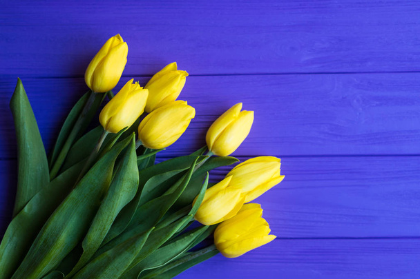 Background with yellow tulips on purple painted wooden planks. Place for text. Top view with copy space - Fotoğraf, Görsel