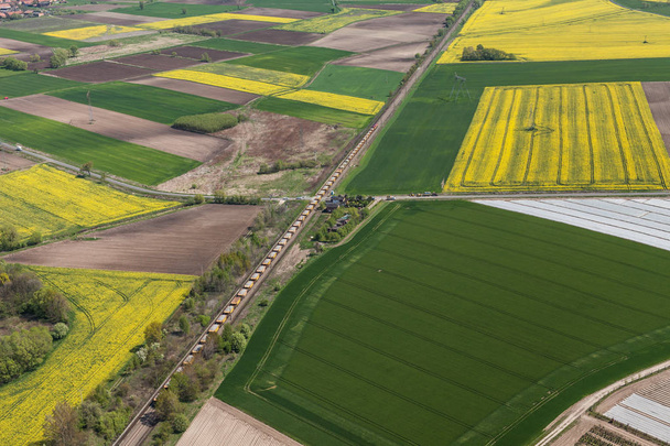 green harvest fields - Fotografie, Obrázek