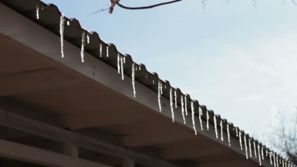 Viele schmelzende Eiszapfen auf einem Dach - Filmmaterial, Video