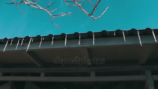Viele schmelzende Eiszapfen auf einem Dach - Filmmaterial, Video
