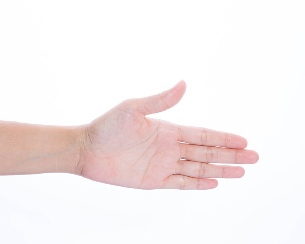Hand on a white background - Foto, afbeelding