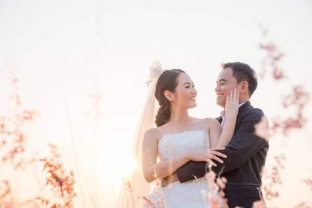 Asiatico sposa e sposo in campo a tramonto
 - Foto, immagini