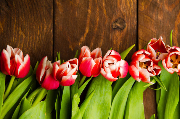 Red-white tulips on wooden boards. A bouquet of tulips on a tree. Beautiful tulips on wooden boards. - Zdjęcie, obraz