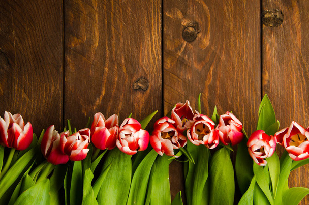 Red-white tulips on wooden boards. A bouquet of tulips on a tree. Beautiful tulips on wooden boards. - 写真・画像
