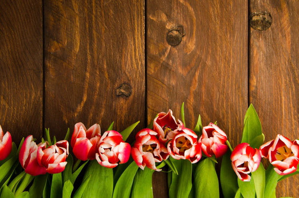 Tulipanes rojo-blancos en tablas de madera. Un ramo de tulipanes en un árbol. Hermosos tulipanes en tablas de madera
. - Foto, Imagen