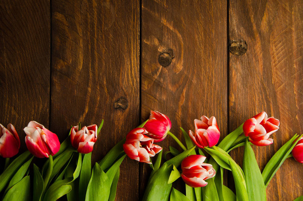 Red-white tulips on wooden boards. A bouquet of tulips on a tree. Beautiful tulips on wooden boards. - Valokuva, kuva
