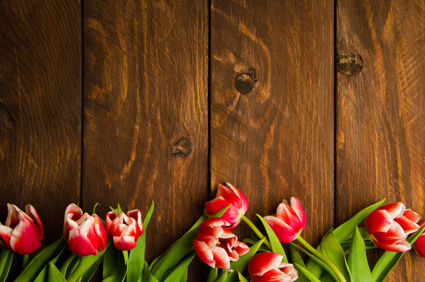 Red-white tulips on wooden boards. A bouquet of tulips on a tree. Beautiful tulips on wooden boards. - Fotó, kép