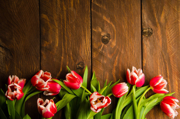 A bouquet of tulips on a tree. Beautiful tulips on wooden boards. Red-white tulips on wooden boards. - Foto, Bild