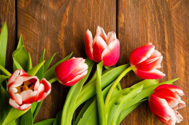 A bouquet of tulips on a tree. Beautiful tulips on wooden boards. Red-white tulips on wooden boards. - Фото, зображення