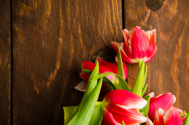A bouquet of tulips on a tree. Beautiful tulips on wooden boards. Red-white tulips on wooden boards. - Foto, afbeelding
