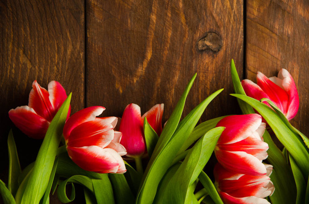 A bouquet of tulips on a tree. Beautiful tulips on wooden boards. Red-white tulips on wooden boards. - 写真・画像