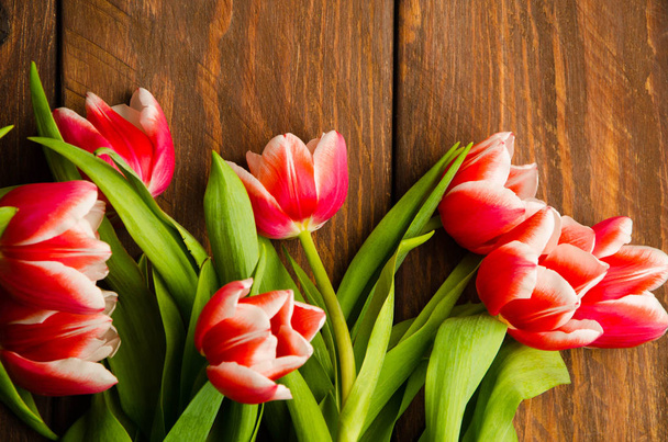 A bouquet of tulips on a tree. Beautiful tulips on wooden boards. Red-white tulips on wooden boards. - Фото, изображение